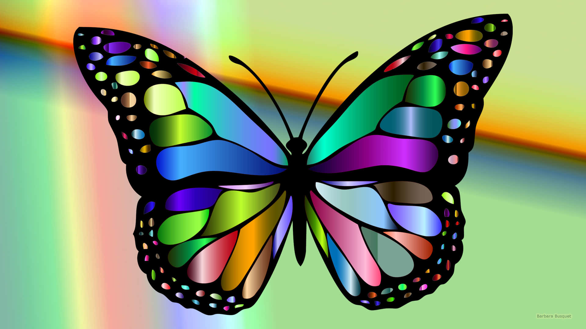 Wonderful World of Butterflies