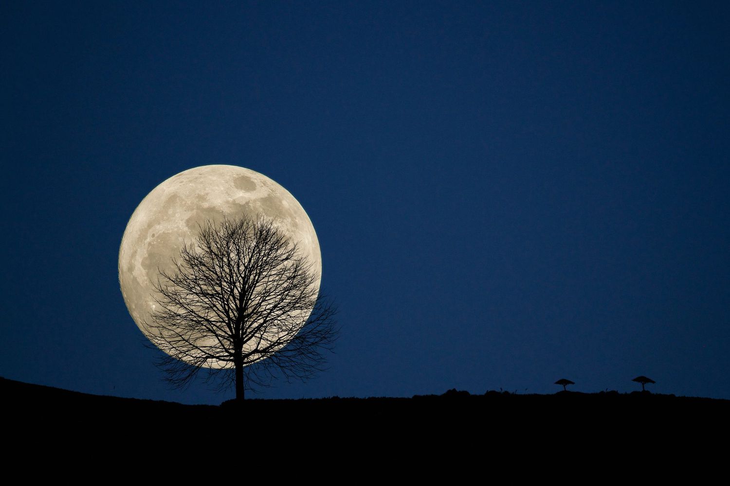 What if the Moon Went Out of Orbit?