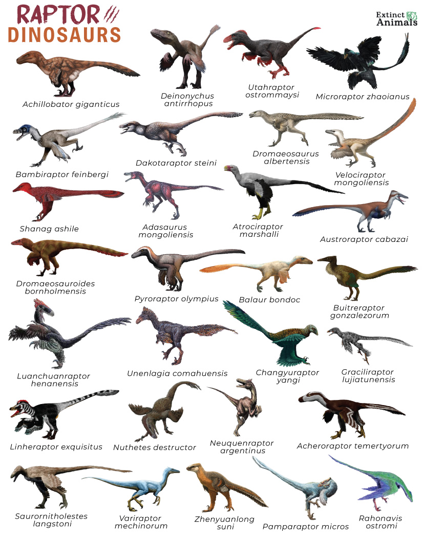Discovering the World of Dinosaur Raptors: A Comprehensive Overview