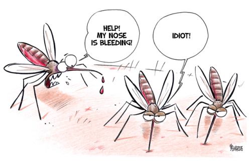 What If There Are No Mosquitoes on Earth?