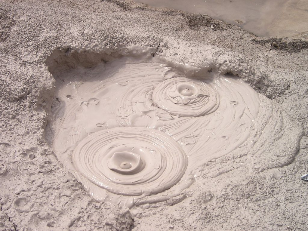 The Secret Life of Soil